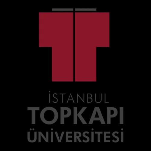 جامعة توبكابي اسطنبول